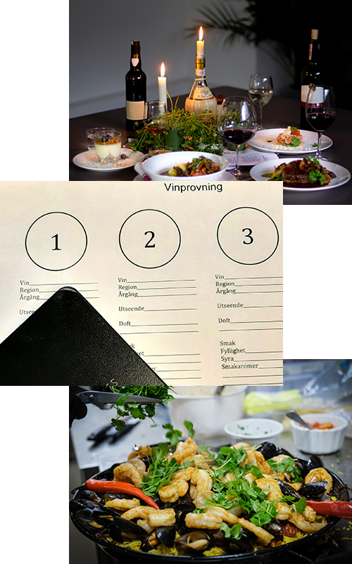 Vinprovningar